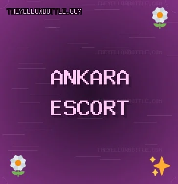 Ankara Escort: Beypazarı Escort, Pursaklar Escort, Gölbaşı Escort