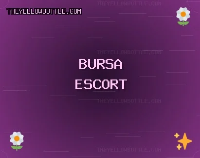 Bursa Escort: Nilüfer Escort, Orhaneli Escort, Karacabey Escort