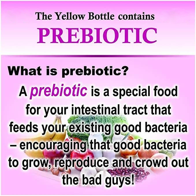 Prebiotic-Image